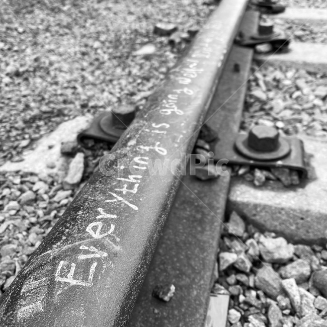 rail,traintrack,railway,기찻길,철도