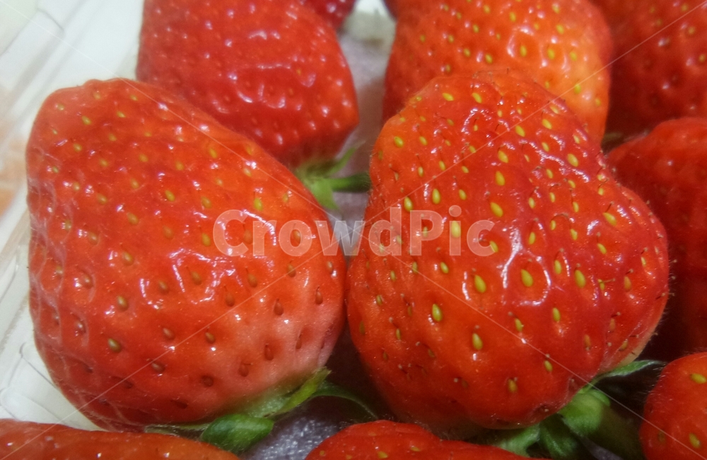 딸기,strawberry,장미과,붉은열매,과일,매,초매,농산물,음식,식재료,요리,food,cook,meal,dishes,food reserves,과일,열매,fruit