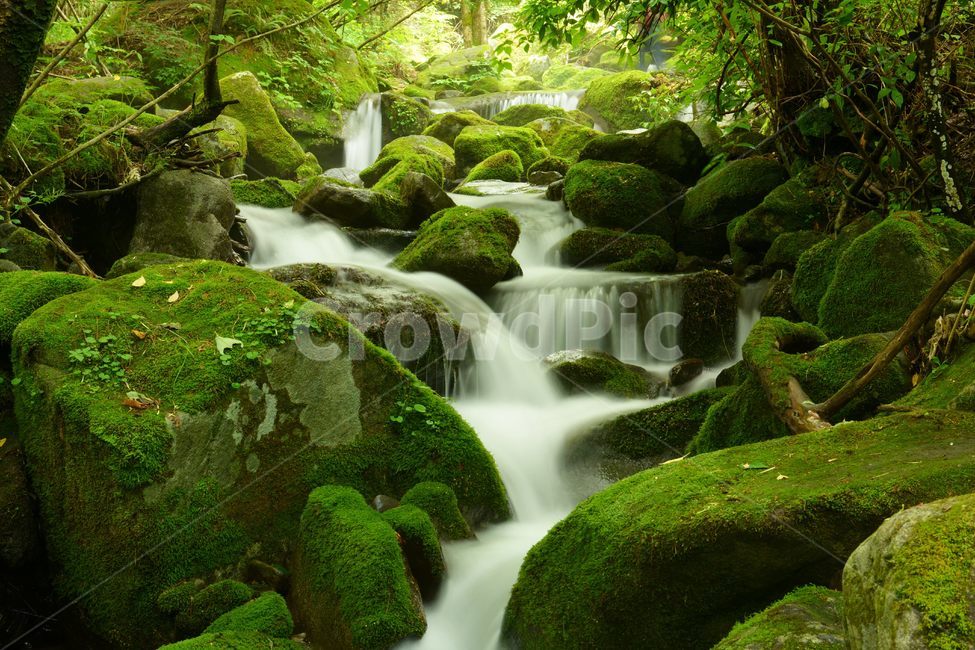 rock,brook,nature,Sangdong Moss Valley,Moss,moss valley,long exposure,water