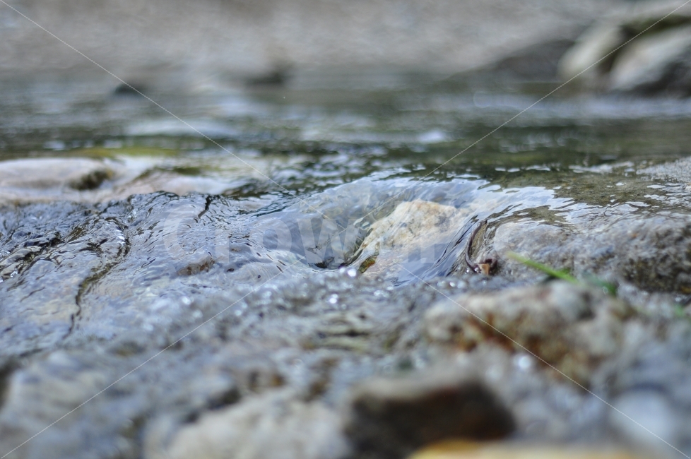 경기도,가평,용추계곡,물,자연,흐르는물,차가움,여름,valley,water,waterflow,nature,current,cold,summer,자연,풍경,nature,landscape,rock,록