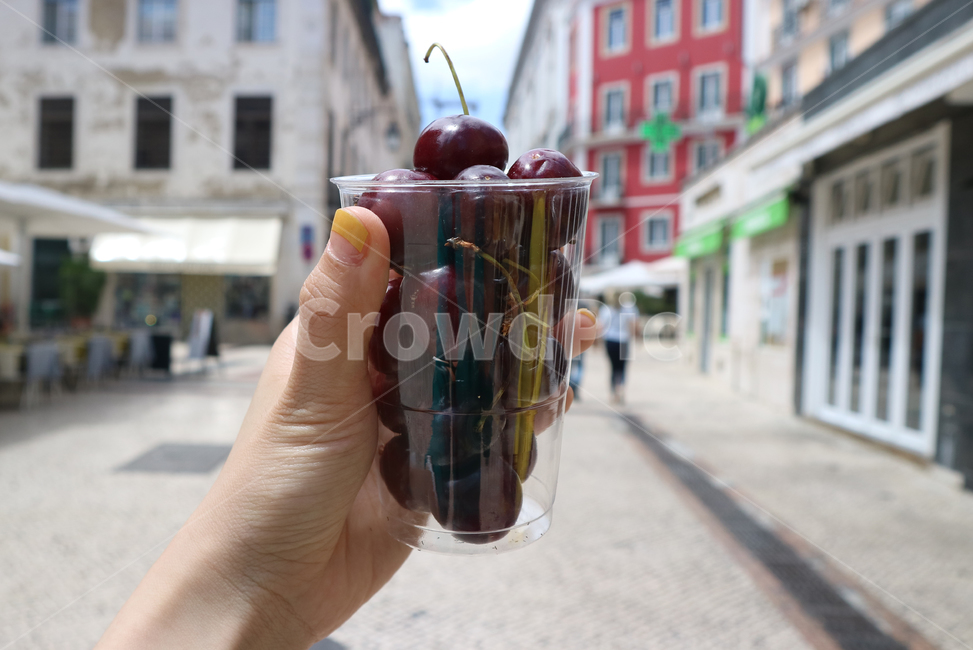 과일,fruit,체리,cherry,손,hand,플라스틱,컵,cup