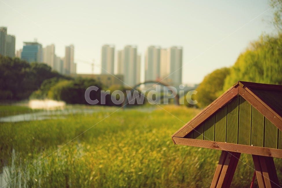 풍경,감성,따뜻함,아파트,편안함,도시,풍경,city,landscape,한국도시풍경,한국도시경관,korea cityscape,감성,sensible,feeling