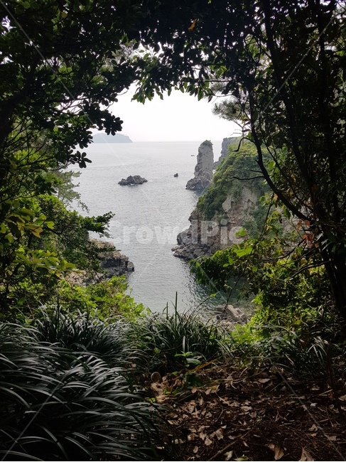 제주도,자연,풍경,바위,바다