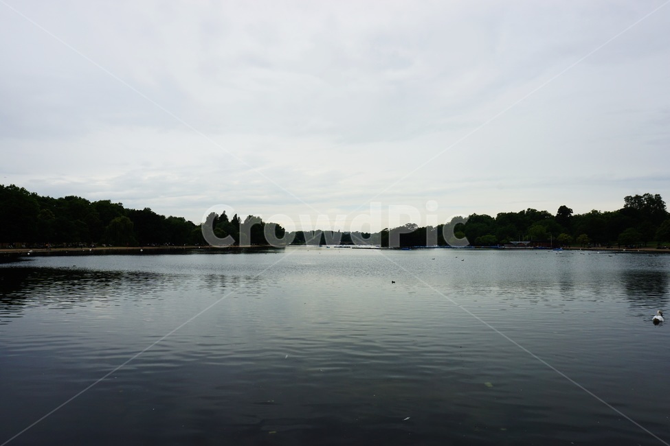 하이드파크,호수,nature,자연,water,물,outdoors,옥외