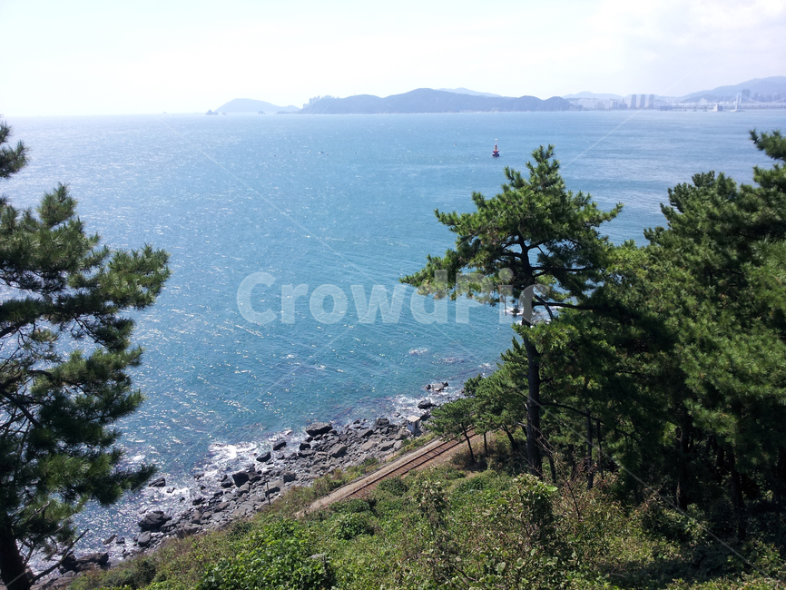 tree,나무,plant,식물,기찻길,바다,파랗다,sea,ocean,청사포,한국자연풍경,한국자연경관,korea nature landscape