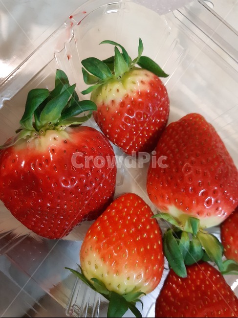 음식,strawberry,food,딸기,fruit,과일