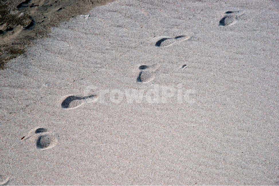 발자국,해변,모래,바다,모래사장,흔적,백사장,해변,바다,beach,sea