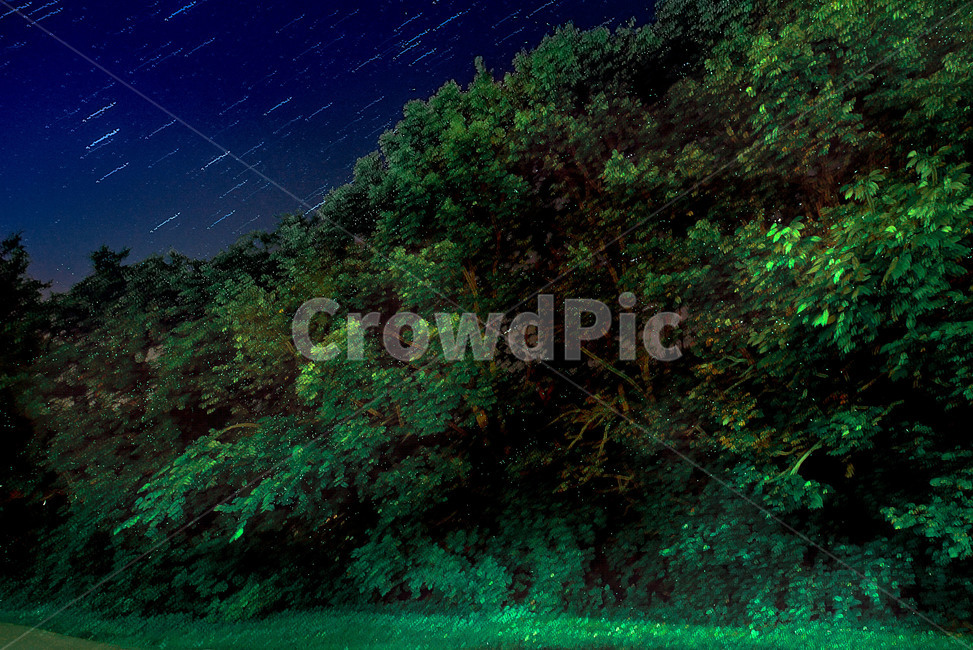 nature,자연,outdoors,옥외,반딧불,야경,밤,풍경,nightscape,night,landscape