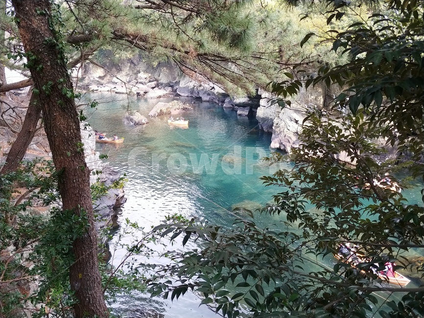 강,하천,에메랄드,제주,나무,자연,풍경,nature,landscape