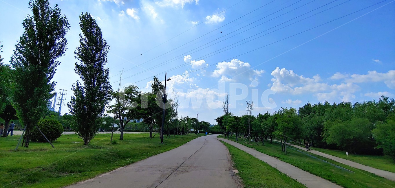 공원,산책,하늘,도로,길,park,road,나무,tree,구름,휴식,인간,human,아스팔트,asphalt,사람