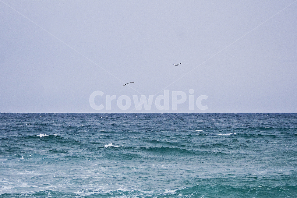 바다,sea,물,ocean,water,자연,풍경
