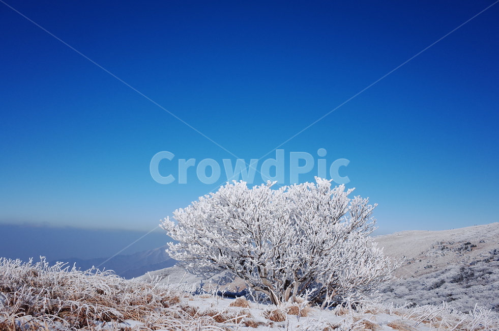 겨울,산,설산,눈,겨울산,소백산,자연,nature,outdoors,ice,눈꽃