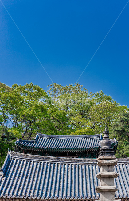 기와,전통,사찰,탑,문화유산,선,한국전통,한국문화,korean traditional,korean culture,종교,신앙,religion,belief,faith,건축물,건물외관,exterior,building,structure,architecture,construction
