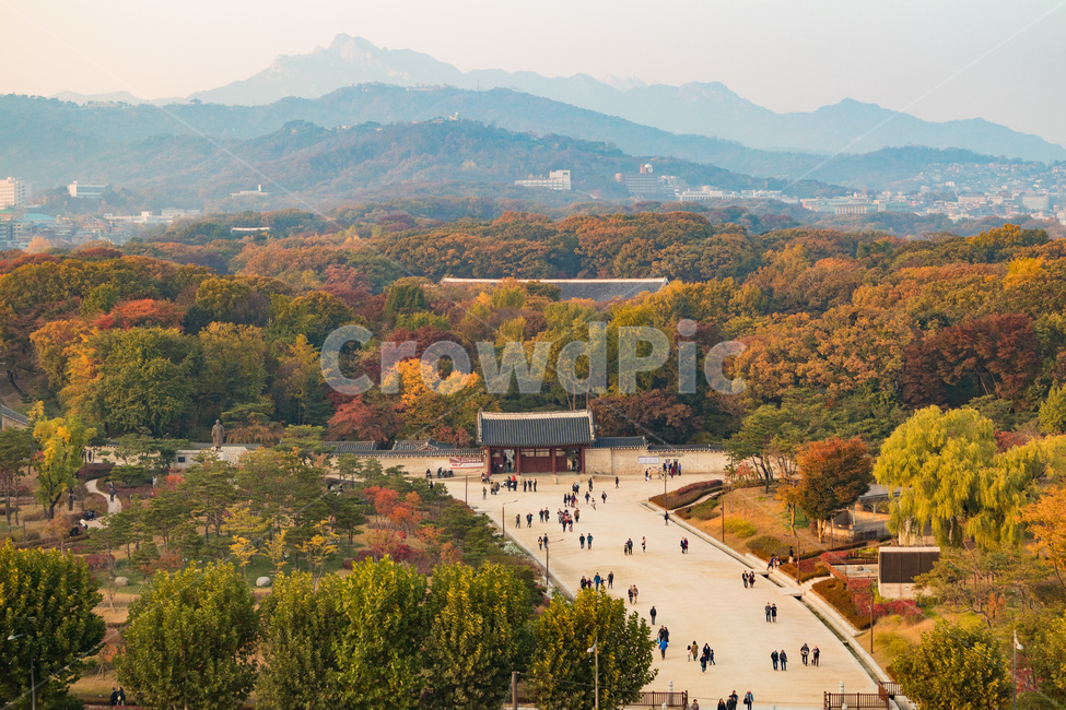 단풍,종묘,가을풍경,울긋불긋,단풍나무,한국의가을,가을,계절,fall,autumn,season,자연,풍경,nature,landscape,한국자연풍경,한국자연경관,korea nature landscape,scenery,outdoors,옥외,경치,town,도시,building,건물,urban,어반,downtown,도심,city,시티