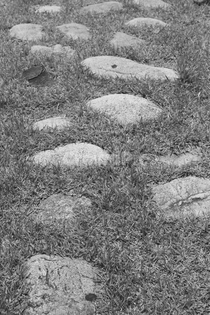 돌,흑백,잡초,돌계단,산책로,공원길,공원,park,stone,grass,weed,step,road,mono,way