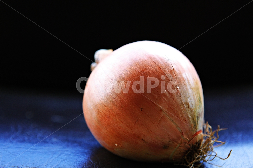 양파,다마네기,껍질,양파껍질,식재료,요리,먹거리,채소,추수,수확,음식,식물,자연,plants,nature,음식,식재료,요리,food,cook,meal,dishes,food reserves,채소,야채,vegetables