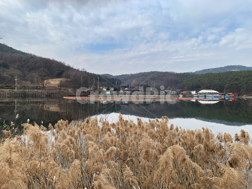 nature,water,물,outdoors,옥외,grass,잔디,plant,식물,갈대,갈대밭,저수지,바다,호수,강,풍경,자연,구름,하늘,산