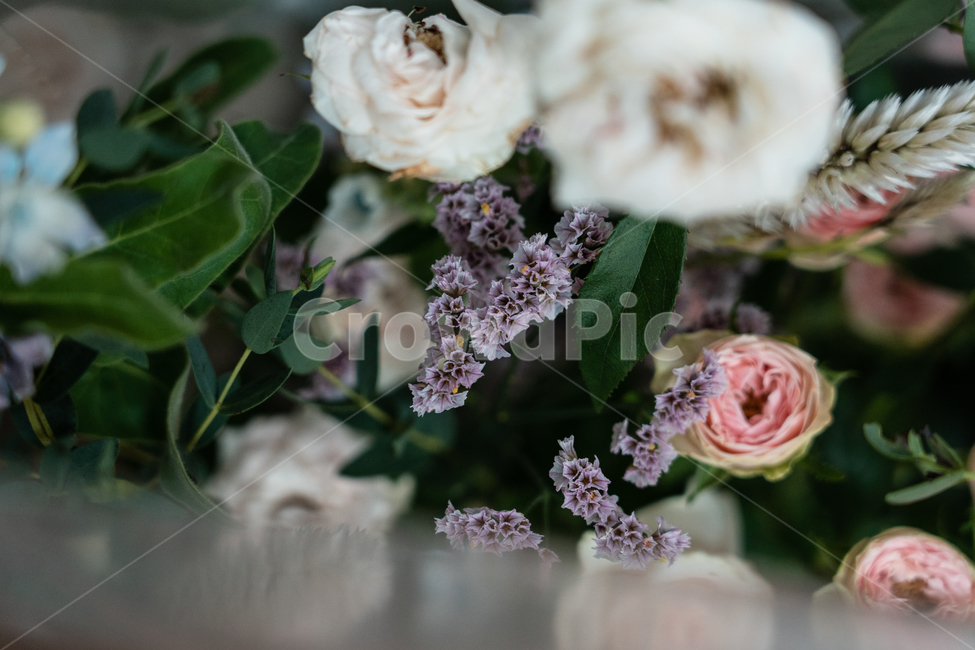 꽃,꽃꽂이,식물,flowers,botanical,꽃,flower