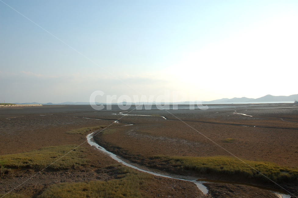 순천만,바다,갯벌,함초,물길,하늘,자연,풍경,nature,landscape,한국자연풍경,한국자연경관,korea nature landscape,outdoors,옥외,land,땅,ground,바닥,road,도로