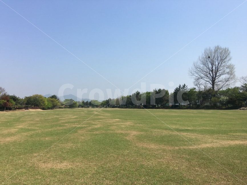공원,잔디밭,넓은공원,따뜻함,오후,자연,풍경,nature,landscape,field,들,plant,식물,grass,잔디,outdoors,옥외