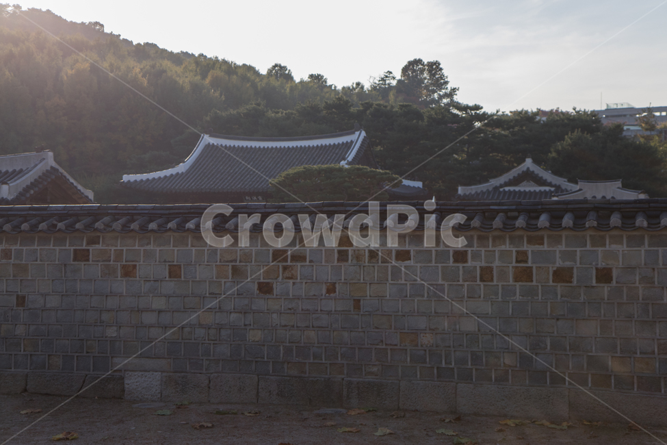 한옥,기와,전통가옥,수원화성,풍경,산,수원,행궁동