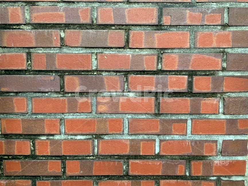 brick,벽돌,벽돌질감,빨간벽돌질감,담벼락,담,bricktexture,rock,texture,거친,이끼,rough,벽,wall,walltexture