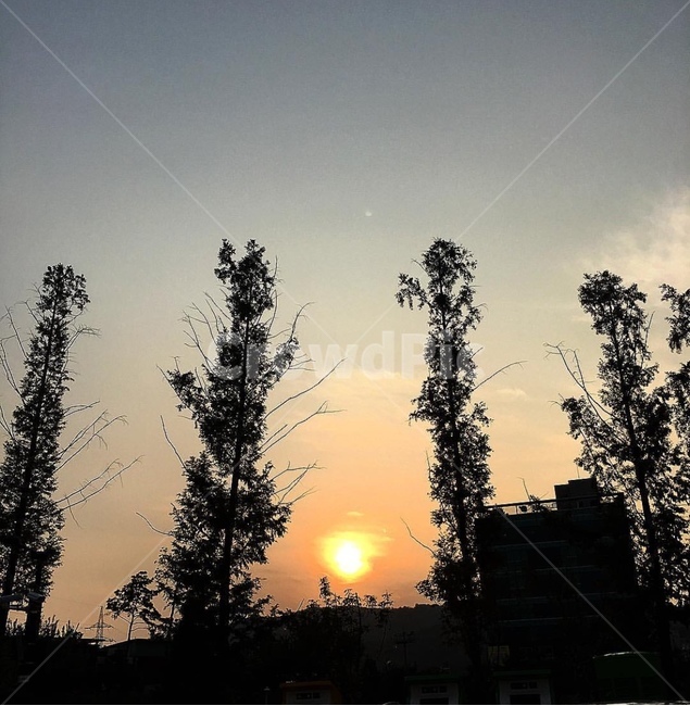 태양,하늘,노을,나무,풍경,자연,풍경,nature,landscape,outdoors,옥외,sunlight,햇빛,dusk,황혼,sunset,일몰,sky,dawn,새벽,red sky,붉은 하늘
