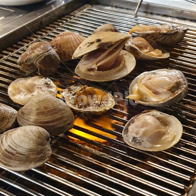 조개구이,조개,저녁,식사,술안주,조개찜,숯불구이,을왕리,소래포구,보글보글,술,회식,수산물,해산물,fishery products,seafood