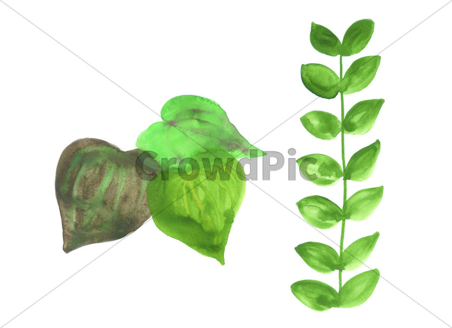 물감그림,손그림,watercolor,handdrawing,나뭇잎,leaf,foliage,umbrage,나뭇가지,bough,wig,sprig,branch