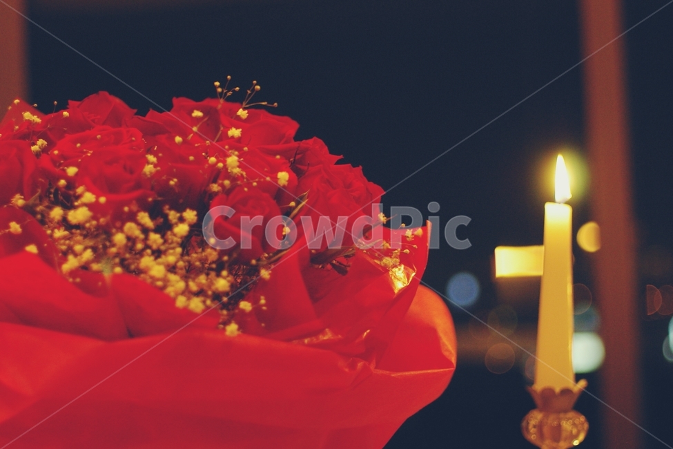 촛불,축하,청혼,결혼,candle,candlelight,밤,night,꽃,flower,꽃다발,꽃,flower,기념일,축하,anniversary,congratulation,celebrate,celebration,감성,sensible,feeling
