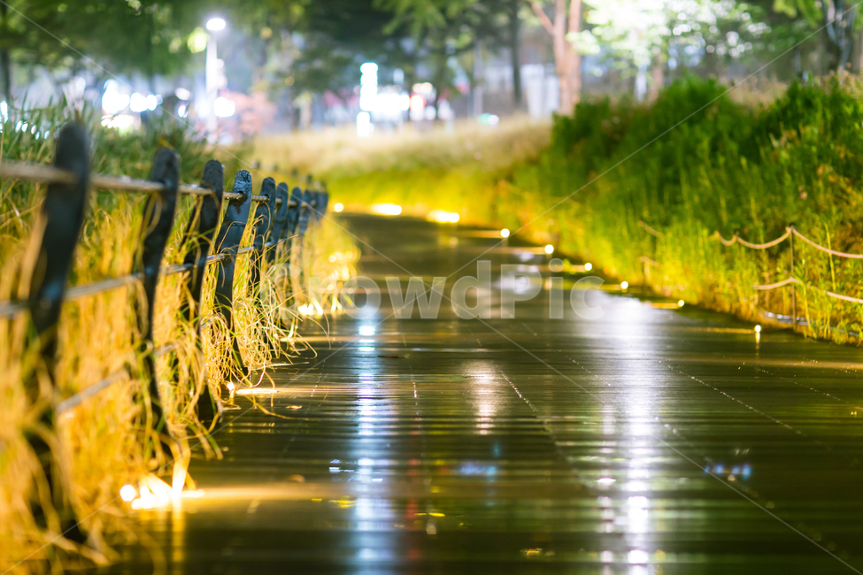 야경,풍경,도시,강,강변,야경,밤,풍경,nightscape,night,landscape