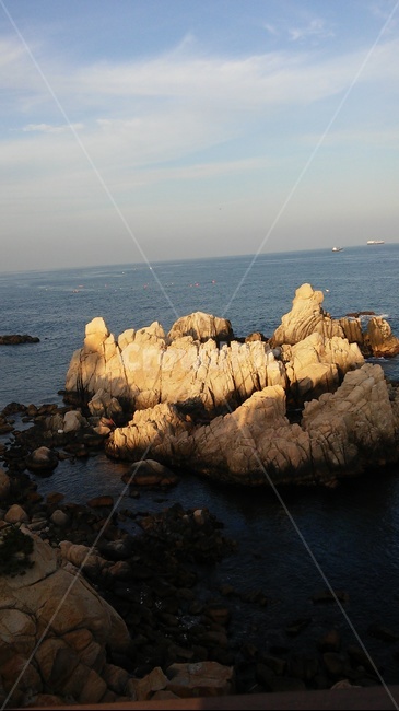 바다,울산,겨울,바위,자연,풍경
