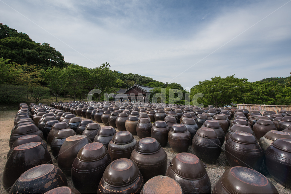 장독대,풍경,시골,농촌,장독,한국전통,한국문화,korean traditional,korean culture