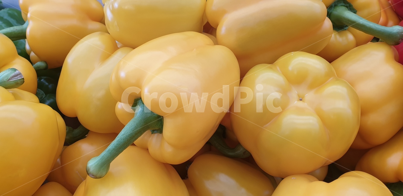 파프리카,채소,음식재료,food,vegetable,음식,노랑파프리카,노란색,음식,식재료,요리,food,cook,meal,dishes,food reserves,채소,야채,vegetables