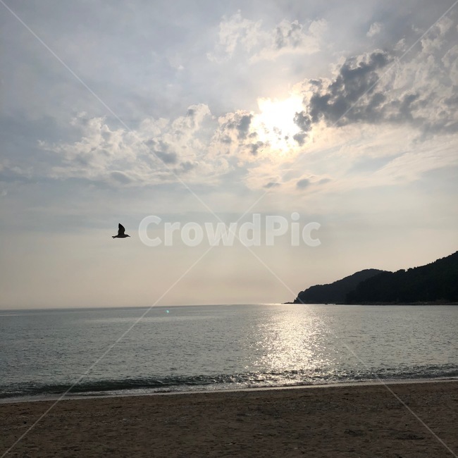 하늘,태양,새,바다,cloud,sky,자연,풍경,nature,landscape,outdoors,옥외,water,물,sea,ocean,대양,land,땅,shoreline,해안선