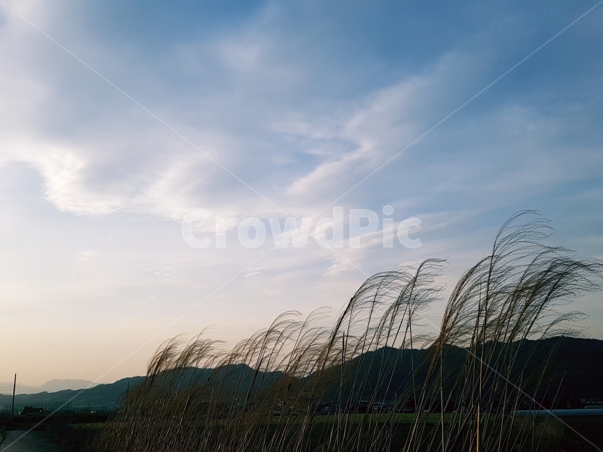 photography,한국,풍경,사진,합천,저수지,노을,하늘,구름,따뜻함,가을,감성,fall,landscape,monotone,자연풍경,스냅,snap,자연,자연사진,sunset,자연,풍경,nature,landscape,plant,식물,grass,잔디