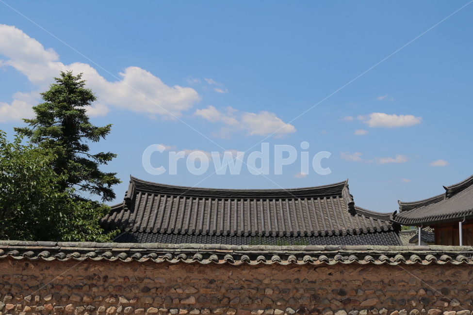 교촌마을,한옥,하늘,관광지,경주,돌담,나무,구름,한국전통,한국문화,korean traditional,korean culture,건축물,건물외관,exterior,building,structure,architecture,construction