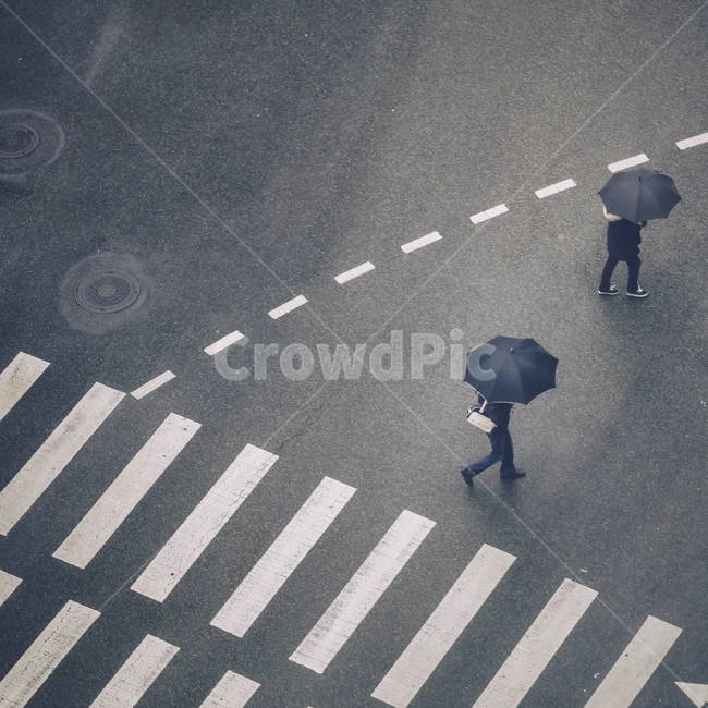 asphalt,아스팔트,road,건널목,비,우산,사람들,비오는날,거리