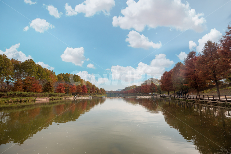 낙엽,가을,단풍,관방제림,반영,nature,물,lake,호수,자연,outdoors,옥외,water,가을풍경,강