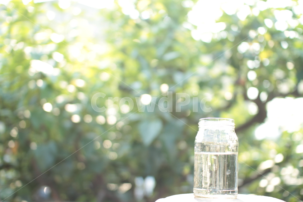 물,자연,나무,숲,물병,햇살,청량함,6월,초여름,여름,계절,summer,season,음료수,drink,beverage,jar,항아리