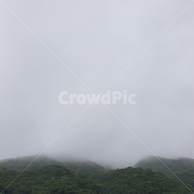 비,구름,안개,분위기,산,자연,경치,nature,rain,rainycl