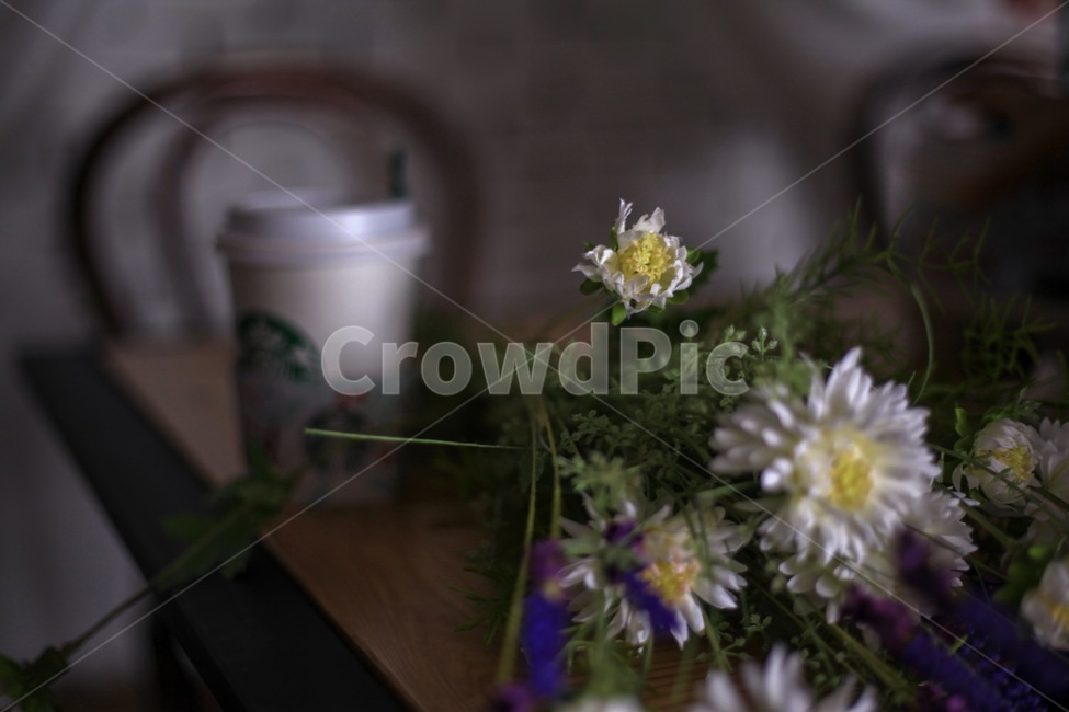 꽃,꽃다발,식물,꽃잎,조화,자연,의자,책상,소품,식물,자연,plants,nature,꽃,flower,실내용화초,화분,화초,house plant