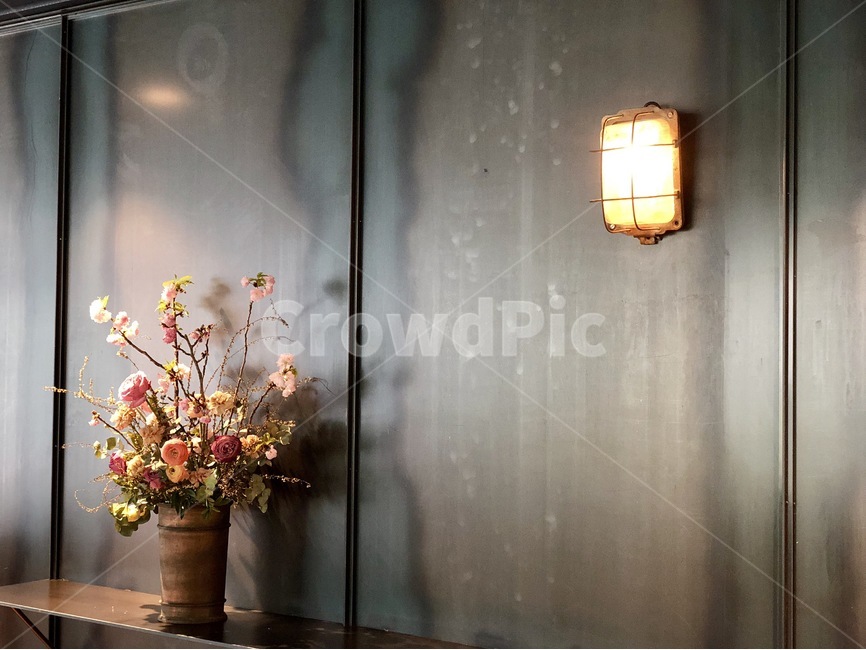 전등,꽃,꽃병,불빛,역삼동,꽃,flower,실내용화초,화분,화초,house plant,인테리어,실내디자인,interior design