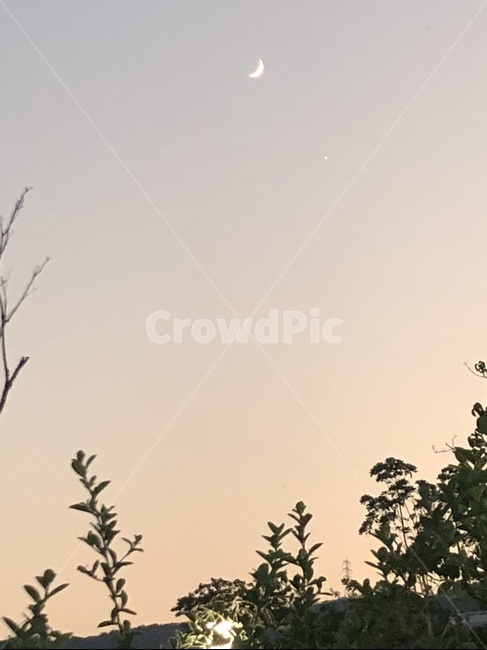초승달,핑크빛,야경,시골,감성,달,moon