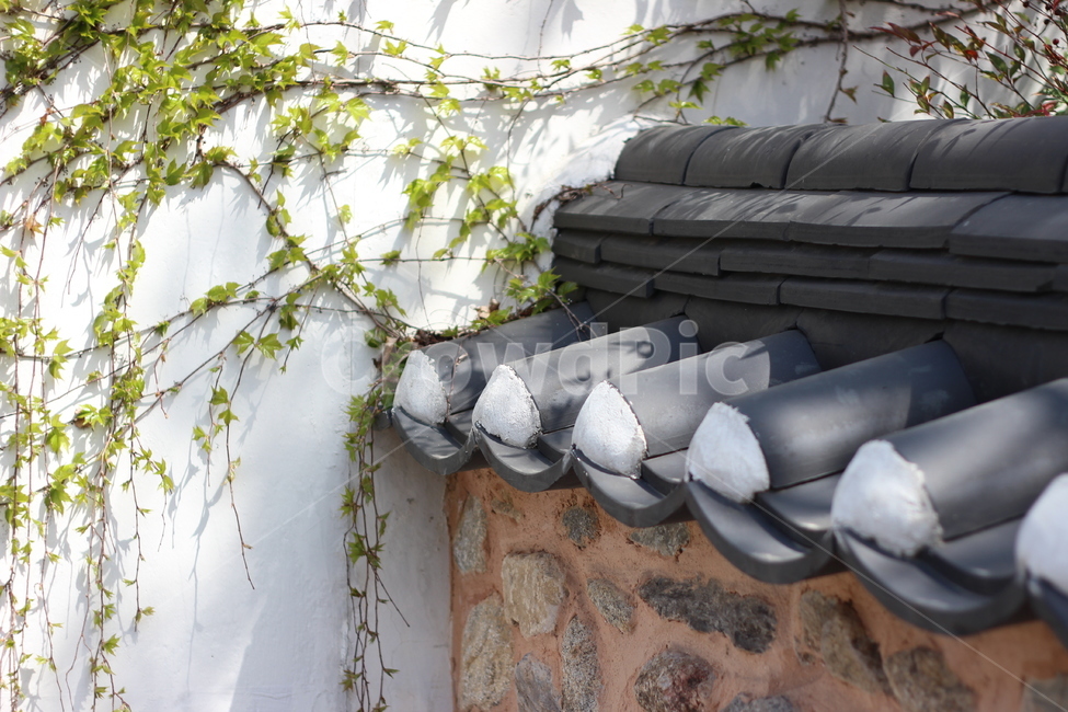 벽,기와,전통한옥,전주,한옥마을,한국전통,한국문화,korean traditional,korean culture
