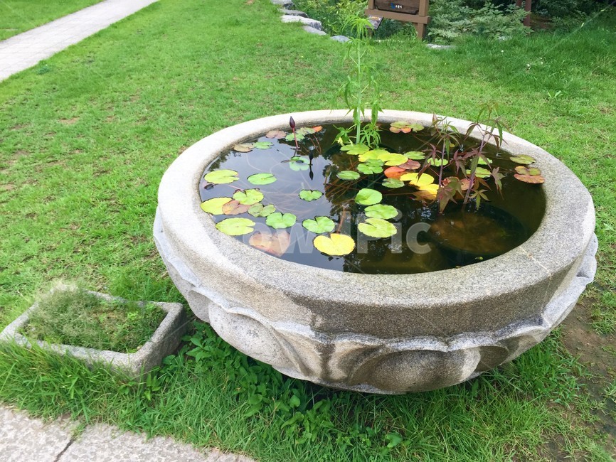 수반,수풀,수석,한국정서,grass,water,조각상,동상,석상,조형물,statue,bronze statue,stone statue