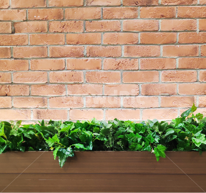 식물,녹색,자연,plant,green,nature,벽,벽돌,brick,walls,화분,pottedplant