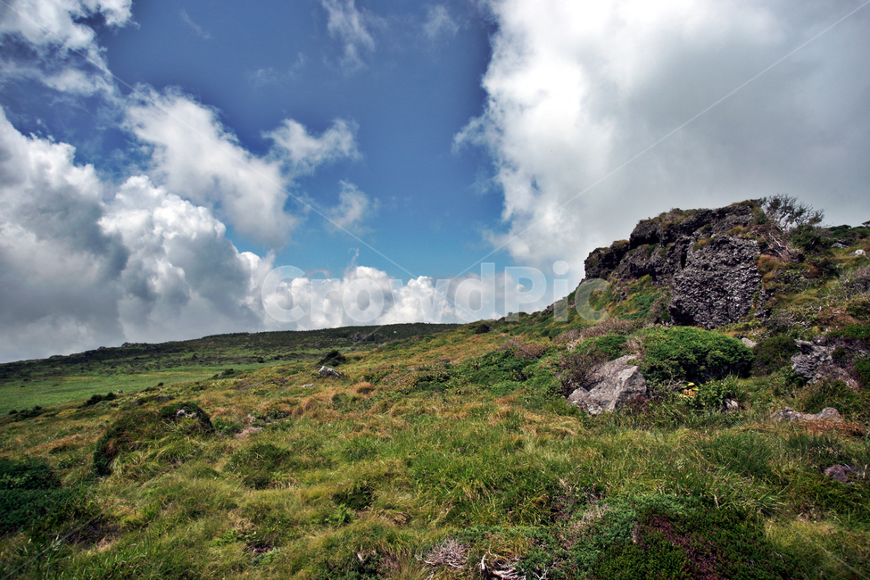 한라산,윗세오름,제주,영산,구름,운무,영실코스,자연,수풀,자연,풍경,nature,landscape,한국자연풍경,한국자연경관,korea nature landscape,제주도,jeju,jeju island,outdoors,옥외