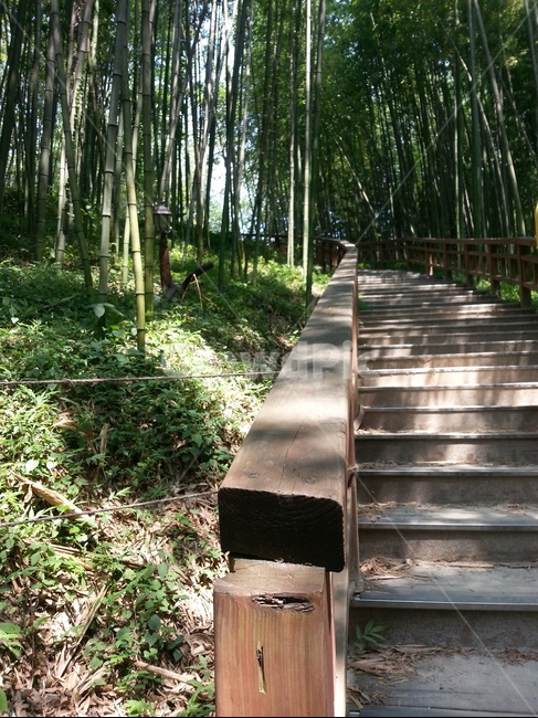 계단,공원,나무,자연,산책,자연,풍경,nature,landscape