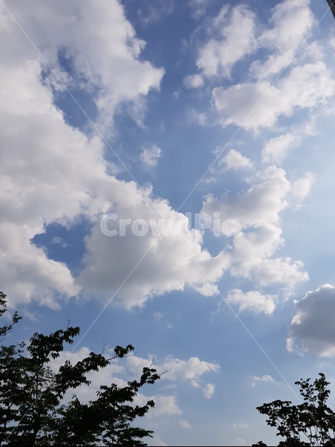 하늘,구름,자연,나무,sky,풍경,오후,자연,풍경,nature,landscape,outdoors,옥외,azure sky,푸른 하늘